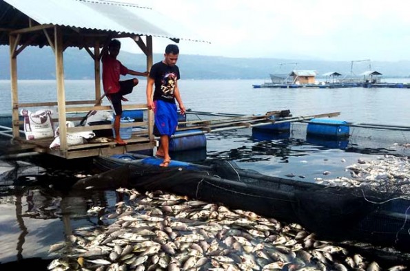  Warga Desa Unggul Tangkap Ikan di Sungai, Hasil Melimpah untuk Kesejahteraan Bersama